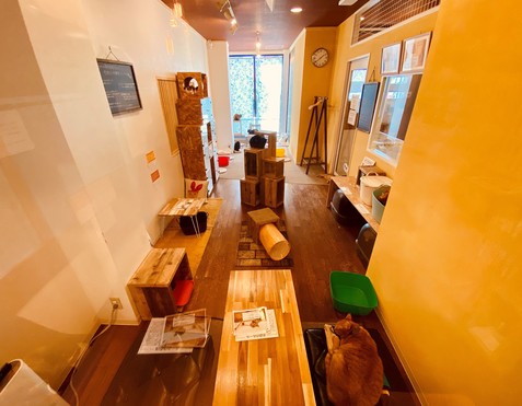 店舗