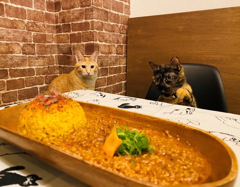 店舗